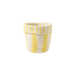 Load image into Gallery viewer, Wool Plant Pot in Lemonade
