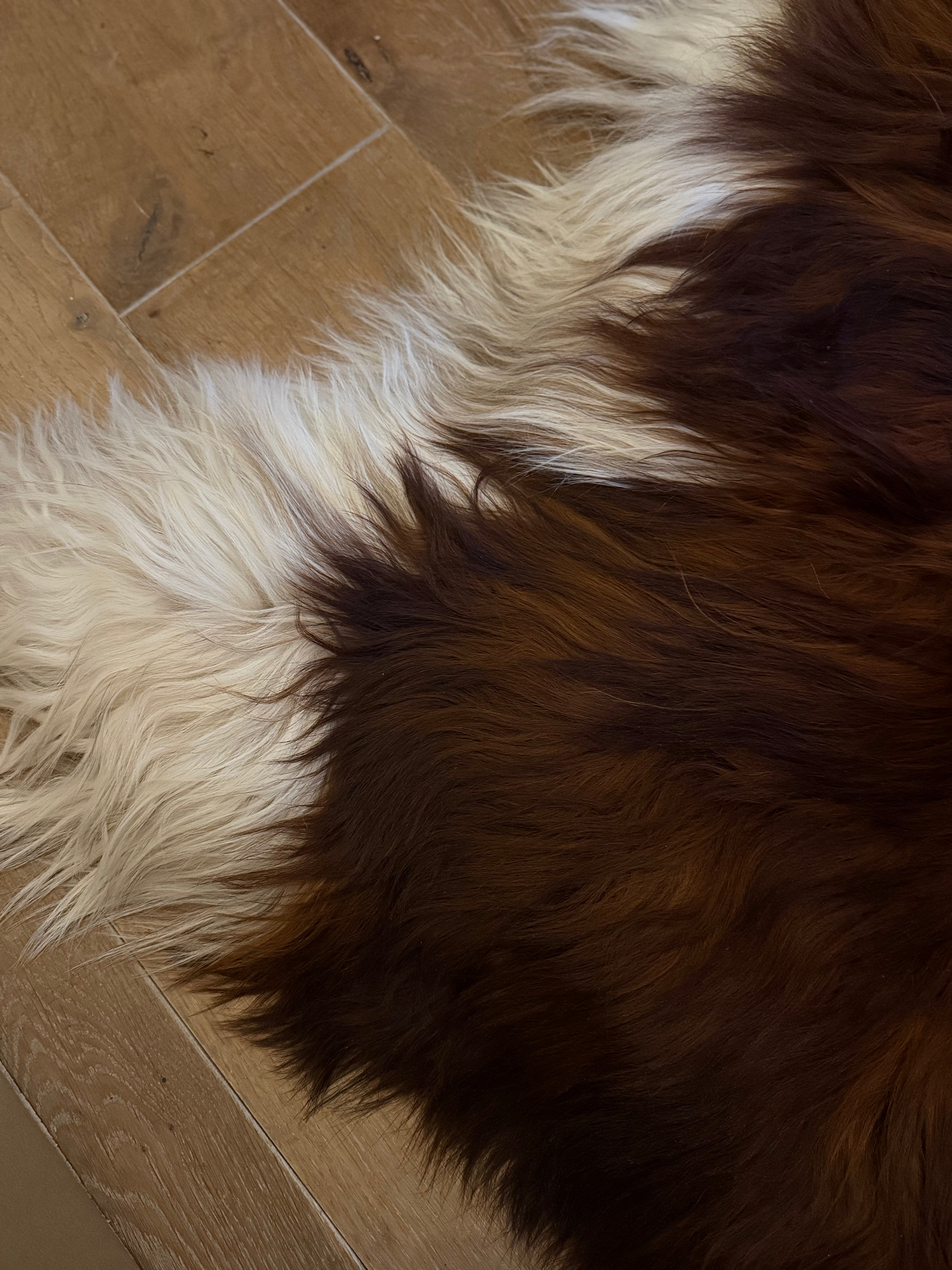 Icelandic Sheepskin Dark