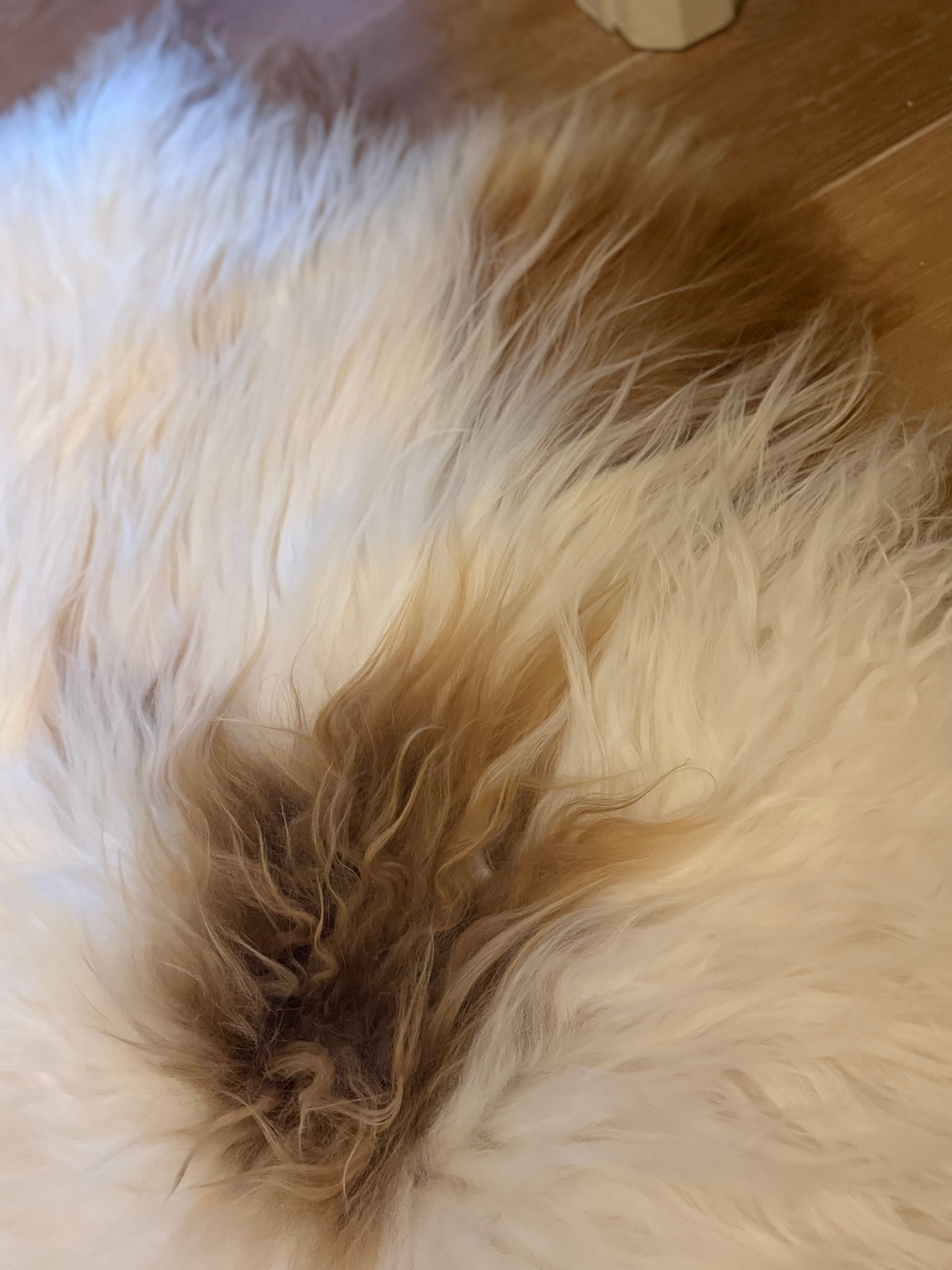 Icelandic Sheepskin
