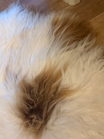 Load image into Gallery viewer, Icelandic Sheepskin
