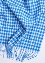 Blue Gingham Children's Blanket